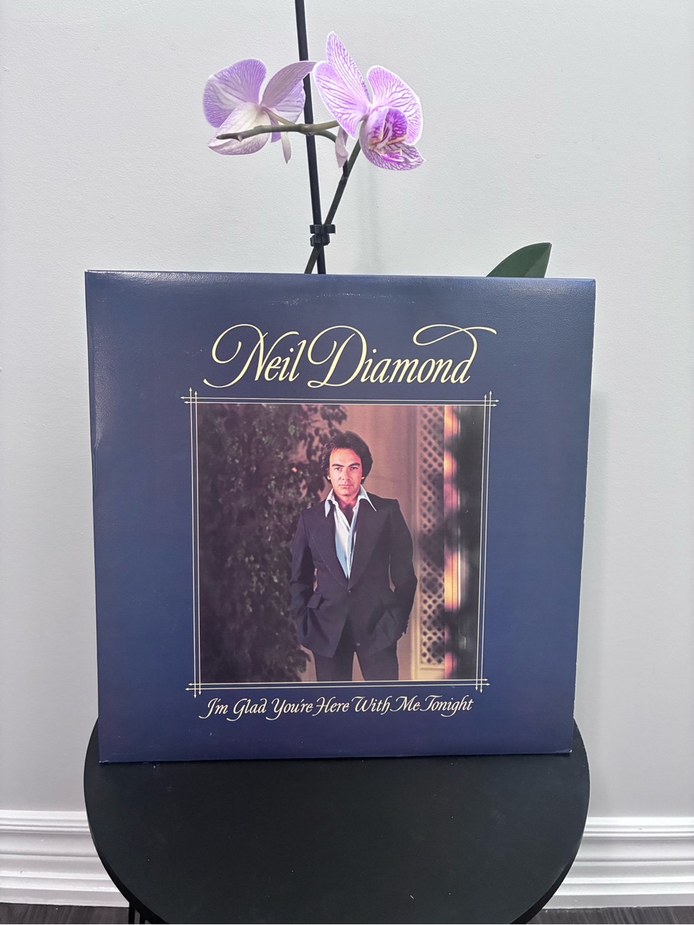 Neil Diamond Vinyl Record - Navy Blue Cover